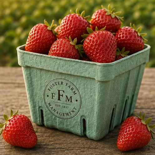 Fresh-picked Strawberries - 1 Pint